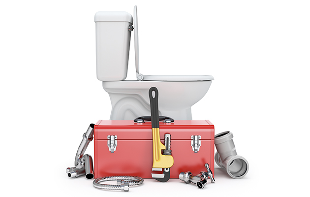 Plumber's toolbox beside a toilet with the seat up